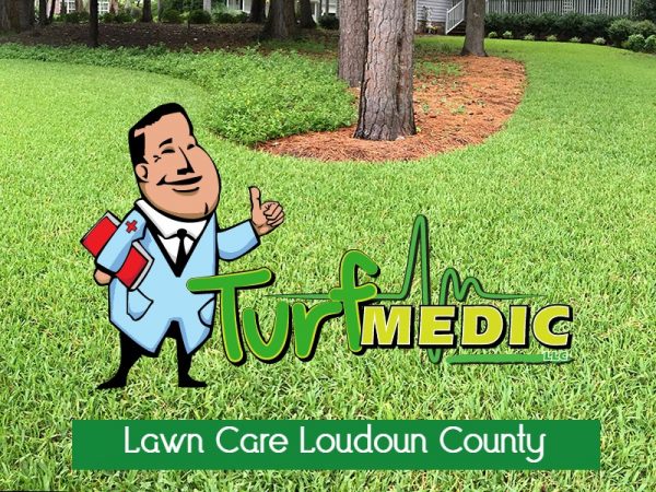 Lawn Care Loudoun County