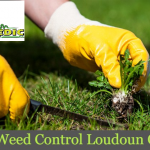 Lawn Weed Control Loudoun County