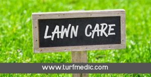 Lawn Care Fertilization