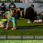Lawn Fertilization Loudoun County