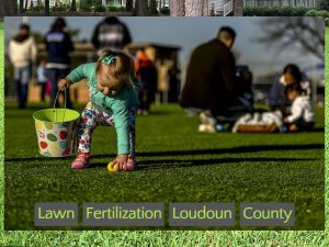 Lawn Fertilization Loudoun County