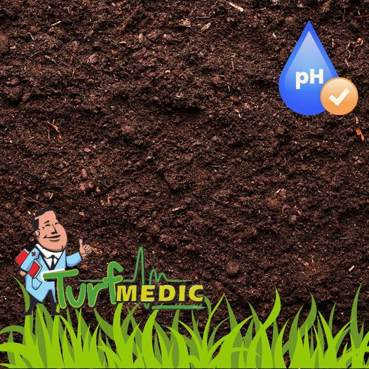 Know Your Soil pH Level