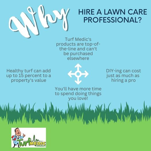 Why Hire a Lawn Care Professional?
