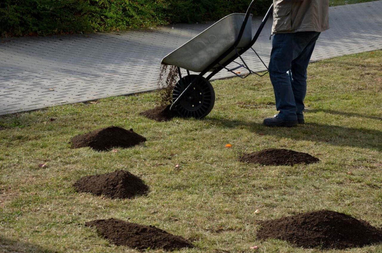 should-you-fertilize-your-lawn-before-or-after-it-rains-lawn