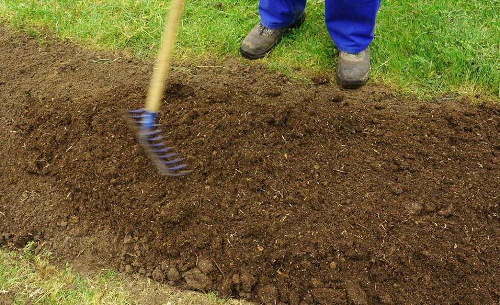 Should You Fertilize Your Lawn Before Or After It Rains